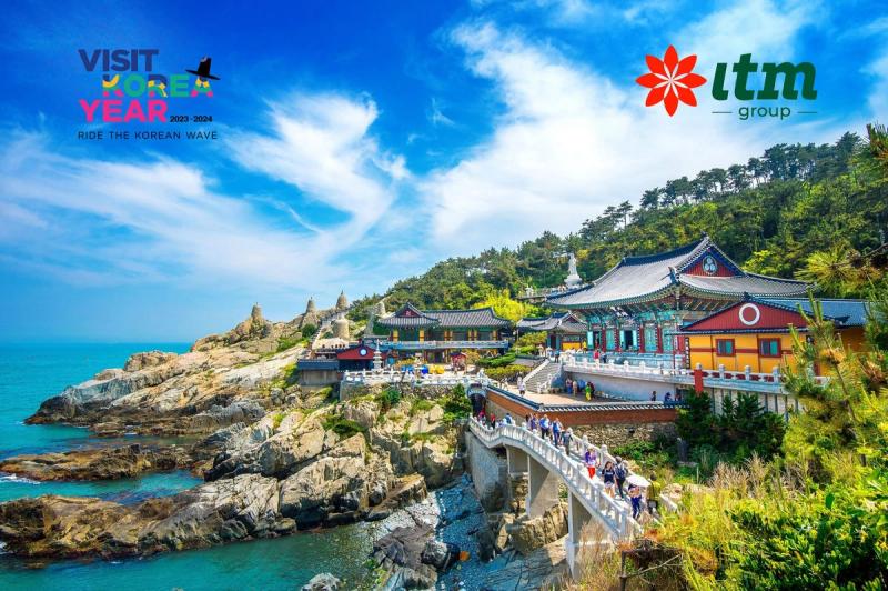 Top 3 summer programs in South Korea