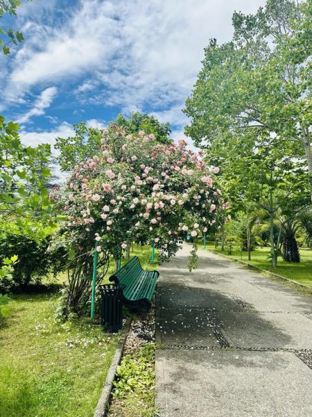 What is Abkhazia preparing for tourists in the summer of 2024?