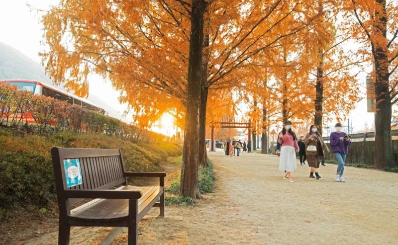 A children's camp in South Korea is a place where the dreams of modern teenagers come true