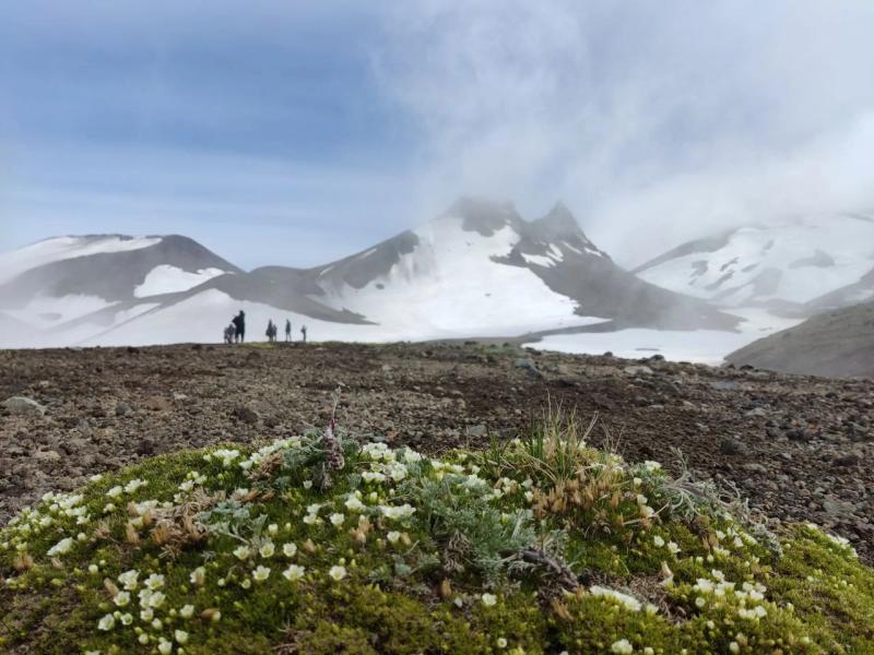 Crabs, shifts and pink snow: Russian Express took travel agents to Kamchatka