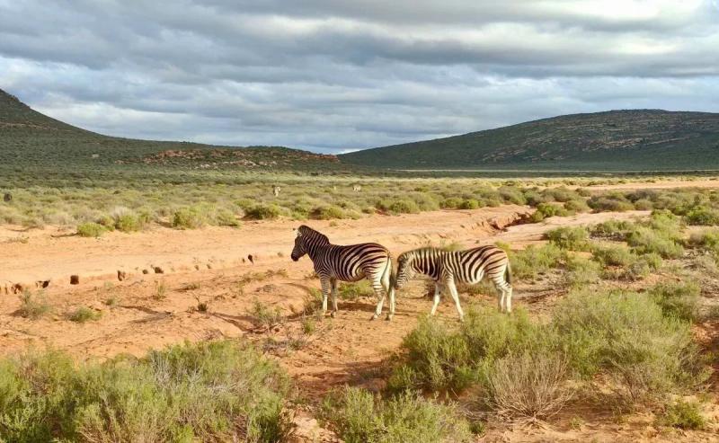 From Cape Town to Johannesburg. Russian Express introduced travel agents to South Africa