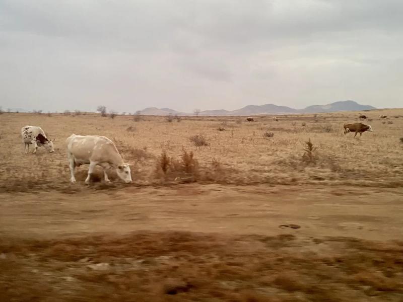 A long way to yourself, or how we lost track of time in Buryatia