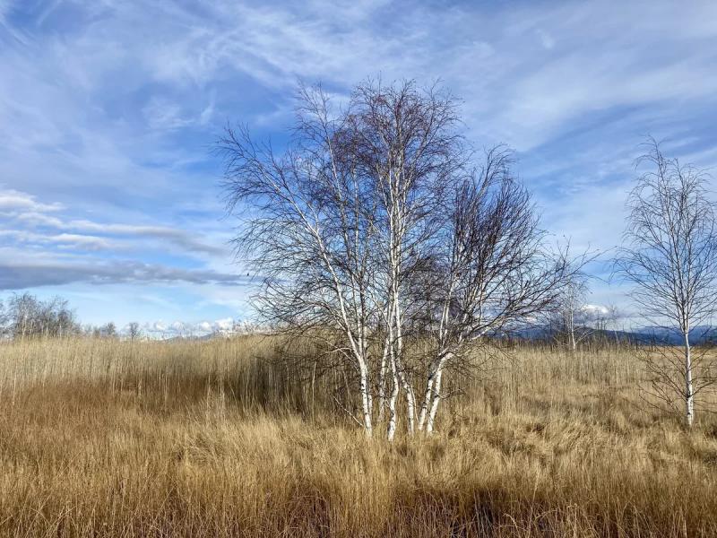 A long way to yourself, or how we lost track of time in Buryatia