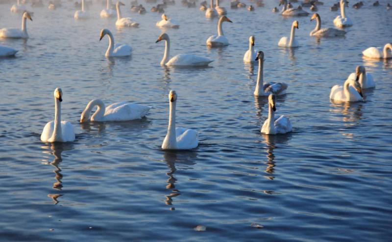 The most beautiful landscape winter in Russia: TOP 14 places from Kaliningrad to the Far East